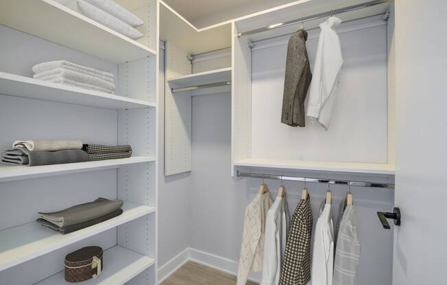 3thirty3 new rochelle ny apartment high rise photo of walk in closet with built in organization shelves