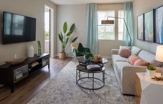 A living room with a grey couch, a coffee table, a TV, and a plant.