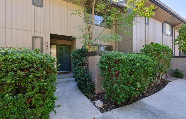 342 Alamo Square Drive