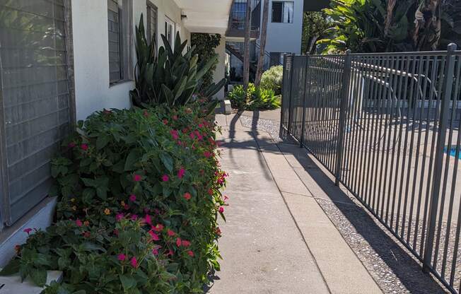 Walkway inside gated area beside pool and apartment enterances at Los Robles Apartments in Pasadena, California.