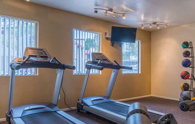 Cantera Fitness center with weight machines and fitness equipment
