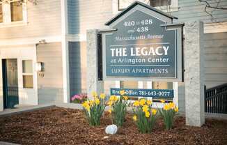 Welcome to The Legacy