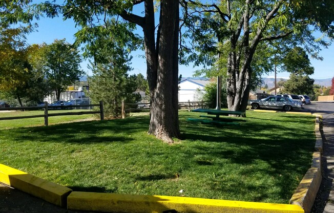 Serene outdoor area with lush green lawn, mature trees, and picnic table, ideal for relaxation and enjoying nature.