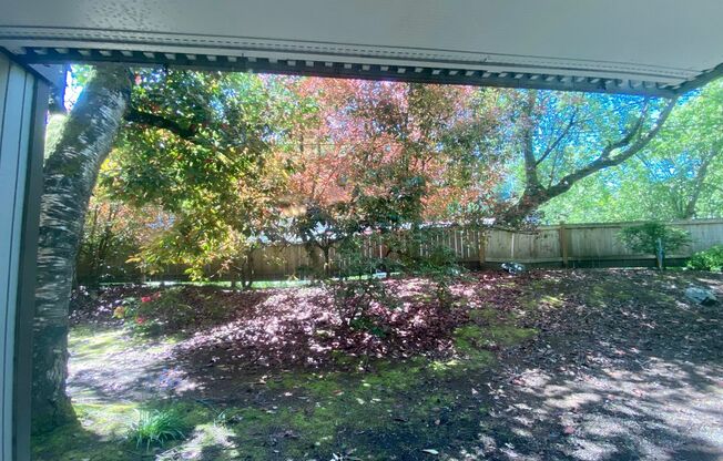 1 bed, 1 bath, 528 sqft, $1,445, Unit 103