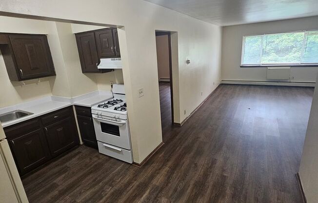 1 bed, 1 bath, 700 sqft, $899, Unit Custer-308