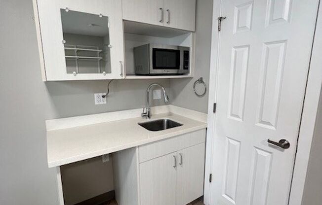 Studio, 1 bath, 172 sqft, $895, Unit A2
