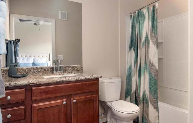 a bathroom with a shower toilet and sink and a mirror