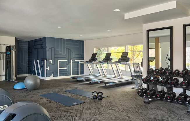A gym with a variety of equipment including treadmills, weights, and exercise balls.