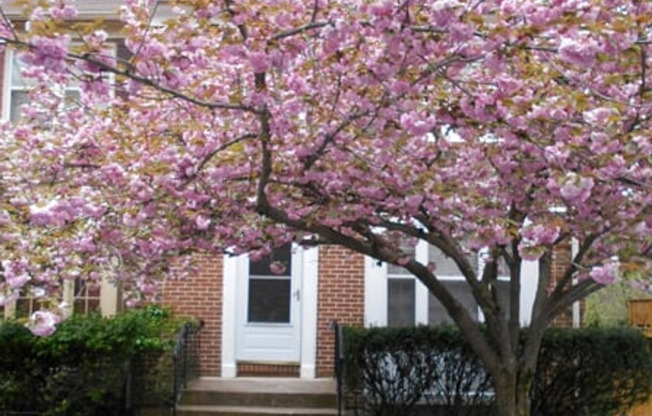 Updated Townhome Close to METRO
