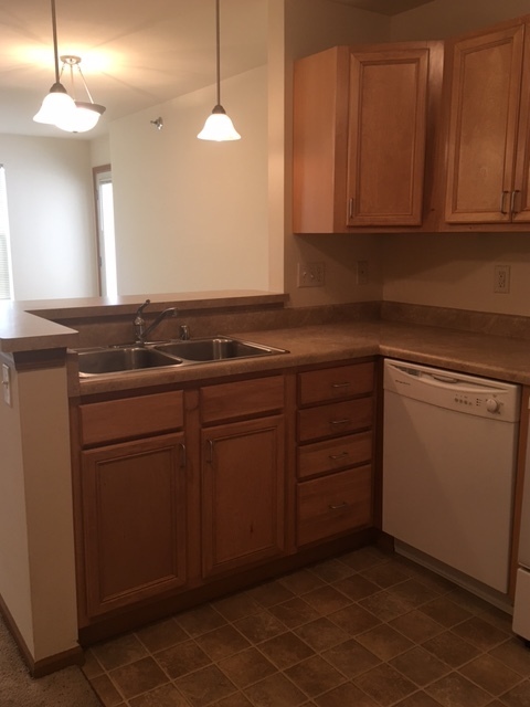 Studio, 1 bath, $1,300, Unit 871-101