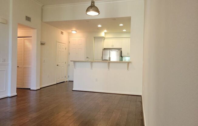 High End Condo on Top floor: High Ceilings- Hardwood floors- Gym- Dogs Welcome Only with Approval