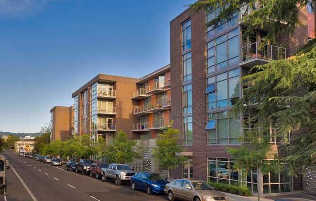 A street view of a residential area with cars parked on the side of the road and modern apartment buildings.