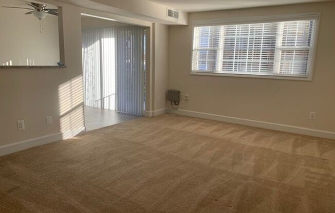 1 bed, 1 bath, 723 sqft, $1,850, Unit 5331 #5