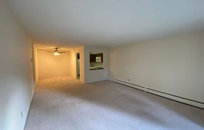 1 bed, 1 bath, 812 sqft, $1,250, Unit 101-115