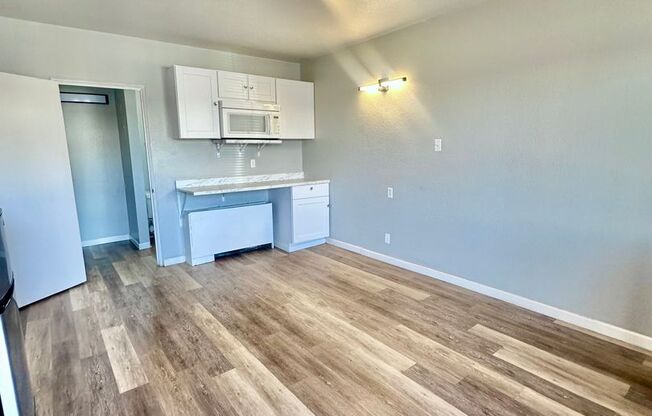 1 bed, 1 bath, 270 sqft, $799