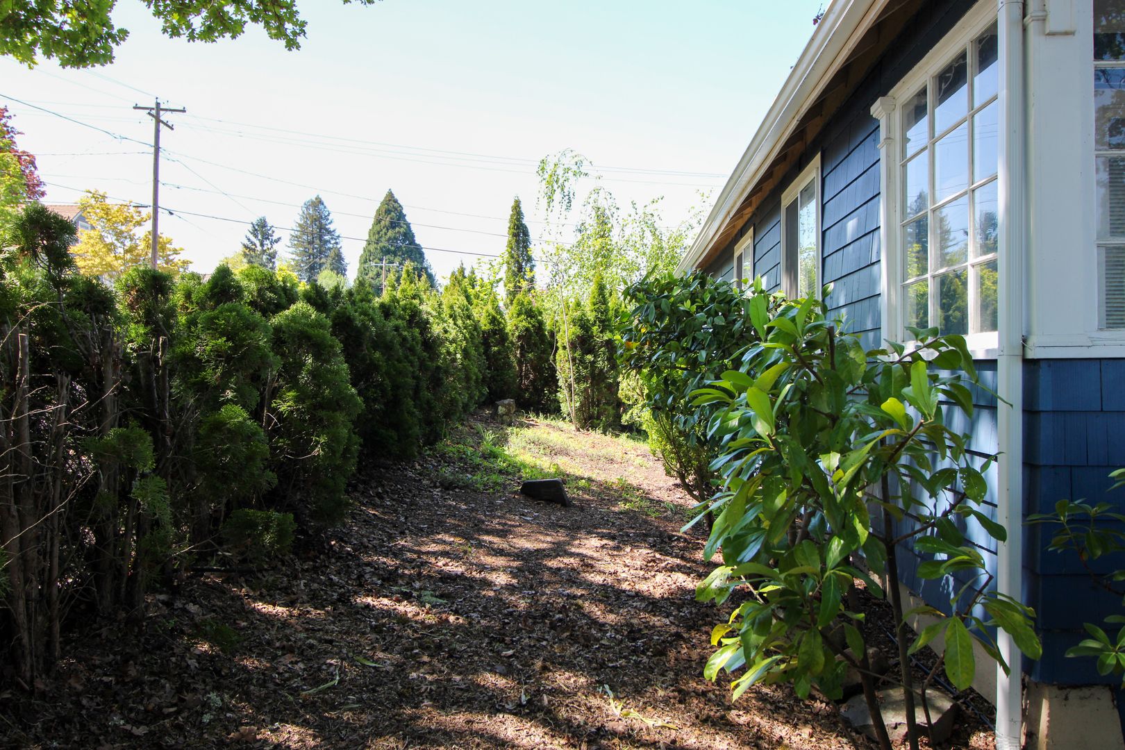 RENT SPECIAL: $750 Off First Full Month's Rent With One Year Lease! ~ Winter St 2161