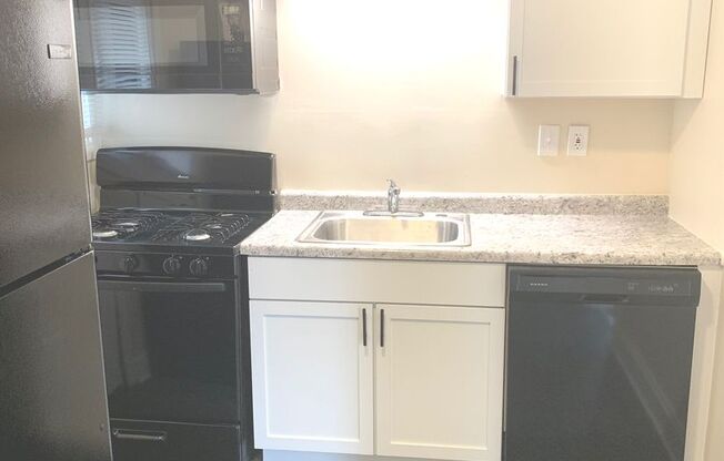 1 bed, 1 bath, $1,175, Unit 1