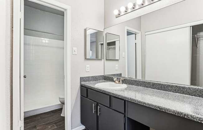 Luxurious master bathroom at Laurels of Sendera apartments in Arlington, TX