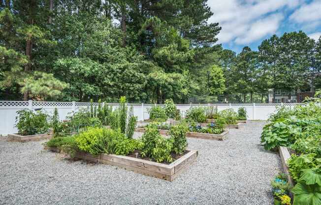 Garden View at Crestline Cary, Cary, NC 27511