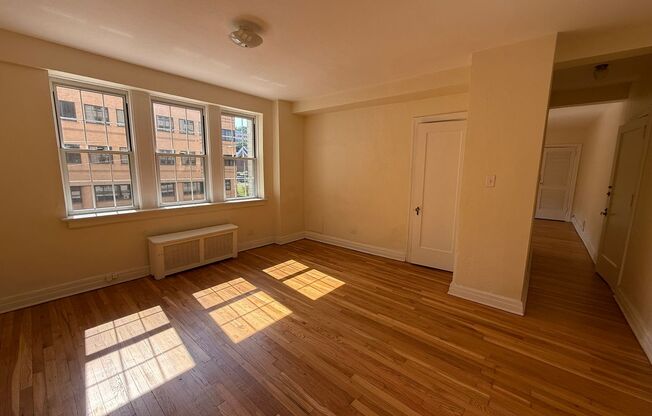Studio, 1 bath, 294 sqft, $1,365, Unit New King Edward  3A3