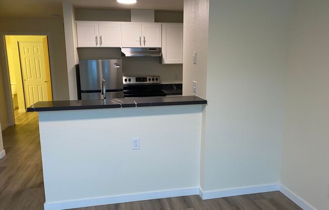 1 bed, 1 bath, 482 sqft, $1,595, Unit 101