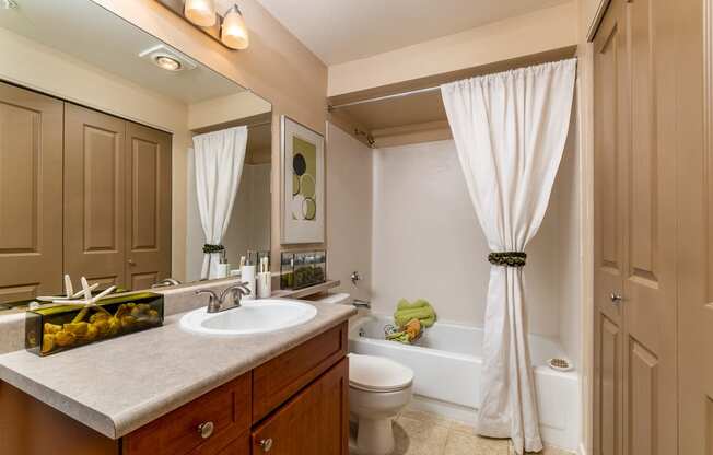 a bathroom with a sink toilet and bathtub