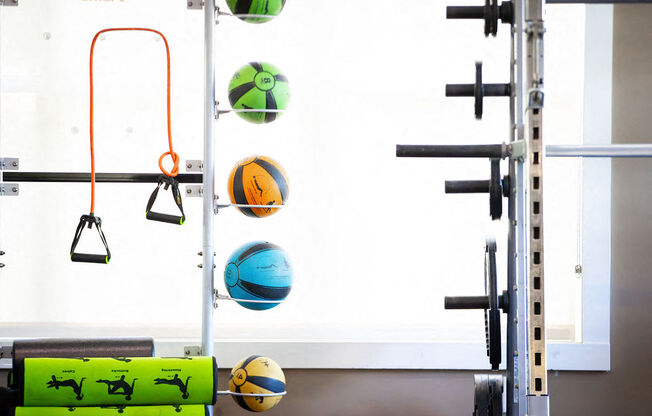 a wall in a gym with weights and balls