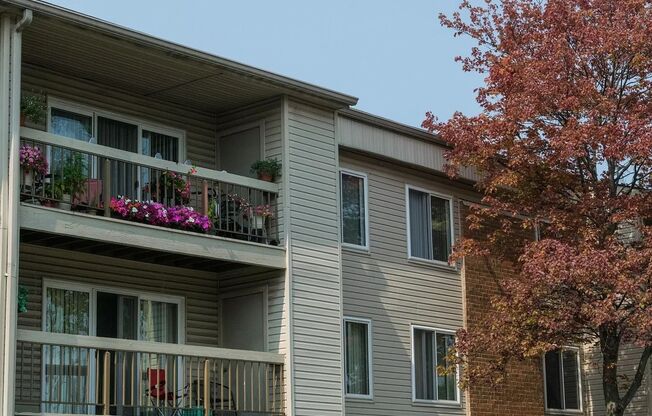 Willow Tree Apartments