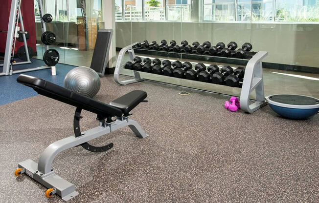 Free Weights In Gym at Custom House, Minnesota