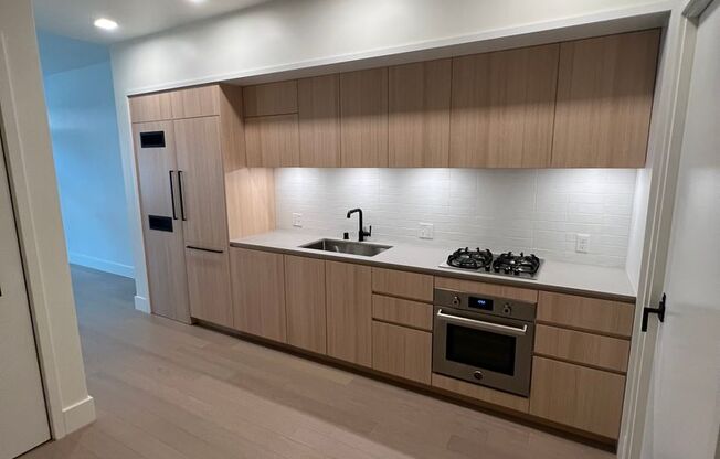 DOGPATCH MODERN LUXURY Jr 1BR 1BA CONDO, ROOF DECK, BBQ, DOG WASH!