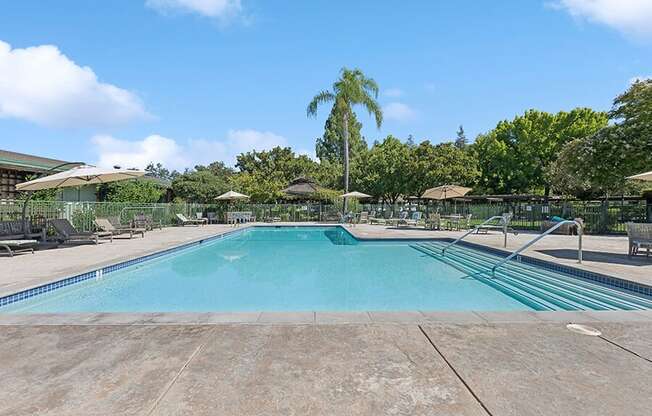 Swimming pool with chairs and umbrellas at Walnut Creek Manor Apartments in Walnut Creek, CA