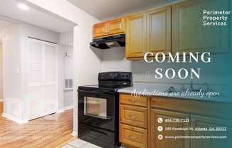 195 Randolph Street NE