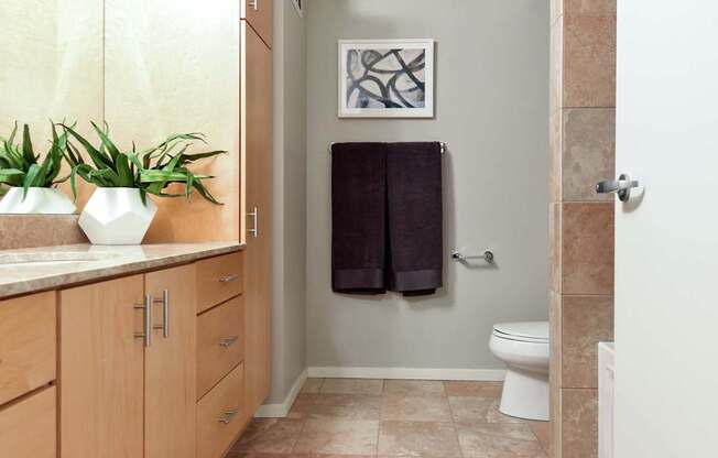 A bathroom with a toilet, a sink, and a towel hanging on the wall.