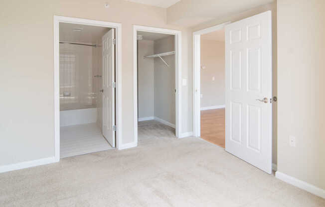 Carpeted Bedroom with Walk-in Closet