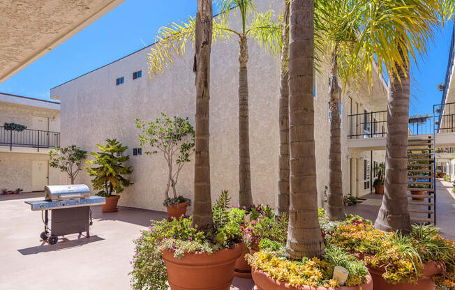 a patio with palm trees and plants and a grill