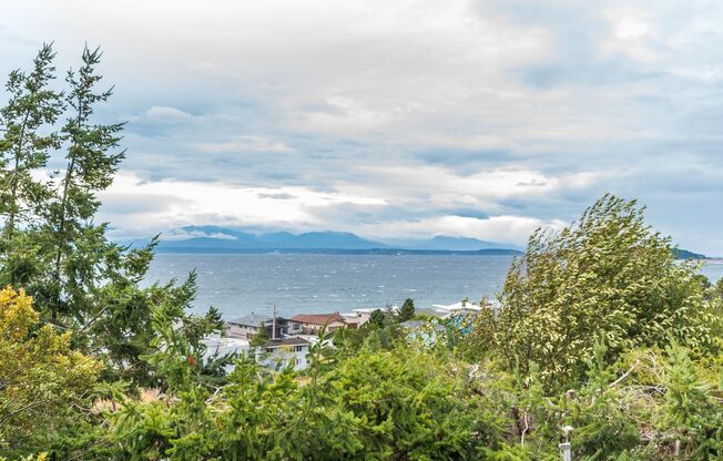 2 Bedroom + Loft Cottage with Puget Sound View