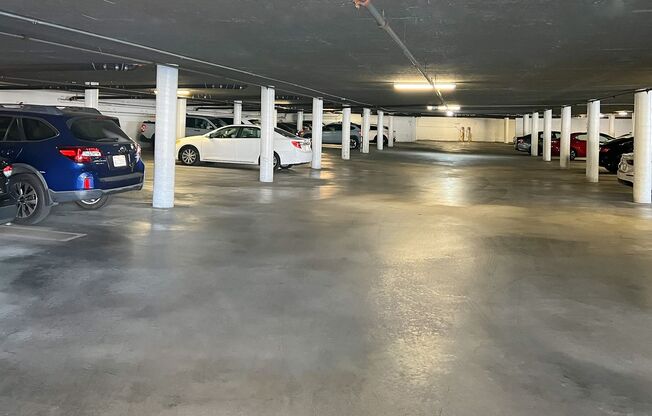 1 bed, 1 bath, 698 sqft, $2,595, Unit 0208