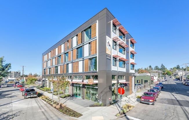 Studio, 1 bath, 300 sqft, $1,395, Unit 204