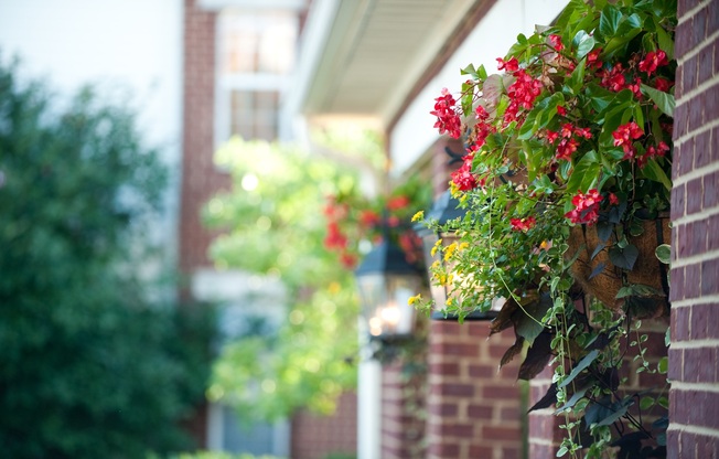 1 bed, 1 bath, 671 sqft, $1,559, Unit 28-28203