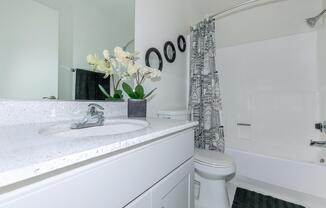 a white sink sitting under a mirror