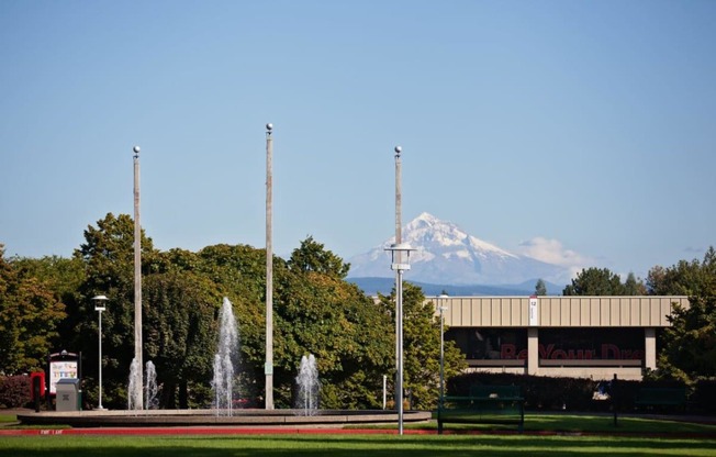 Springwater Crossing exterior flag pole