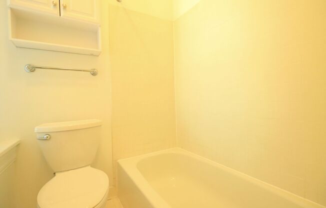 Studio, 1 bath, $2,095, Unit A202