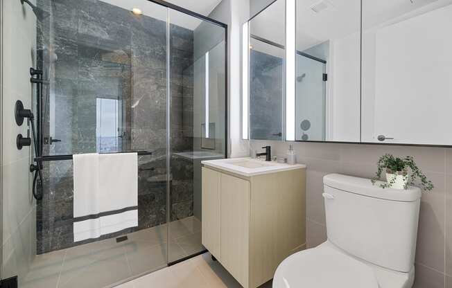 a bathroom with a toilet and a sink and a shower at The Paxton, Brooklyn, NY