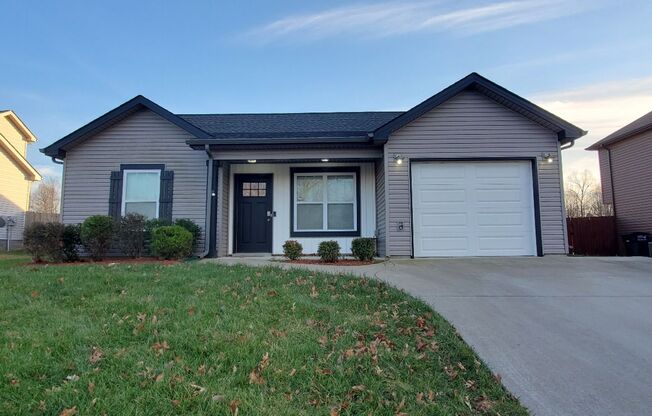 3 Bedroom 2 Full Bath Dog Friendly Home For Rent!