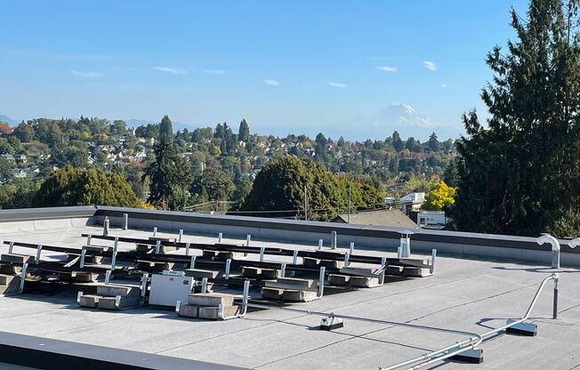 1 bed, 1 bath, 325 sqft, $1,655, Unit 510