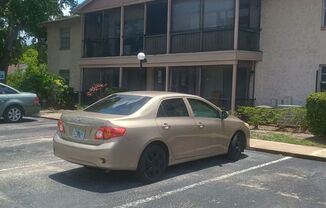 1 Bedroom, 1 Bath for Rent at 1900 Honour Road #20 Orlando FL 32839