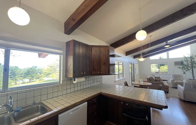 Pine View Dr. - 886 Pine View Drive 1-2 Arroyo Grande, CA 93420