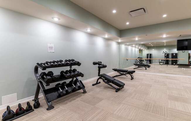 A gym with a variety of equipment including dumbbells, benches, and a television.