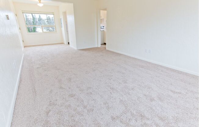 1 bed, 1 bath, 630 sqft, $1,425, Unit 4111 - 3