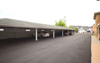 Mount Curve Apartments